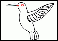 how to draw a hummingbird