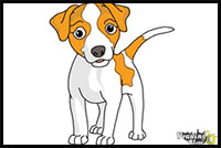 how to draw a dog step by step