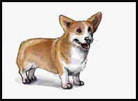 how to draw a corgi dog