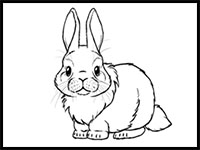 how to draw a cute bunny step by step