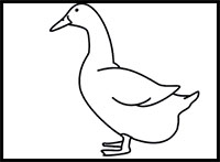 how to draw a duck