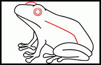 how to draw a frog