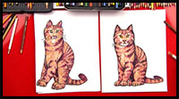 learn how to draw a realistic cat tutorial