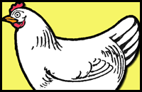 How to Draw Chickens & Hens