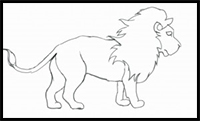 How to Draw a Lion