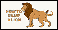 How to Draw a Lion