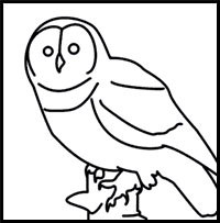 how to draw an owl