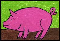 How to Draw a Pig