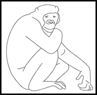 how to draw a bonobo