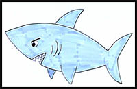 How to Draw a Shark