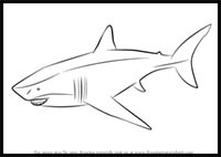 How to Draw a Megalodon