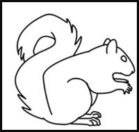 How to Draw a Squirrel