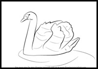how to draw a swan