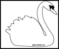 how to draw a swan