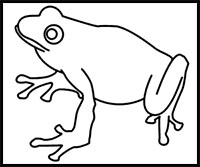 how to draw a frog