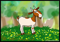 how to draw a goat