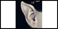 How to draw ears17.jpg
