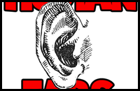 Drawing Ears in Easy Steps Drawing Lesson 