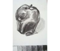 How Artists See - Value Scales to Shapes of an Apple
