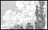 Drawing Confident Lines and Textures and Shades in Pen and Ink