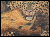 How to Use Colored Pencils Blending Techniques