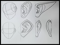 How to Draw Ears