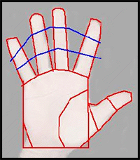 Anime



  Drawing a Girl Sketching Tutorial