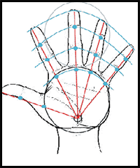 How to Draw Manga Hands and Feet