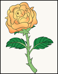 How to Draw a Rose with Stem