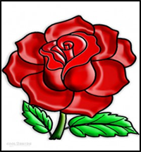 How To Draw a Realistic Rose