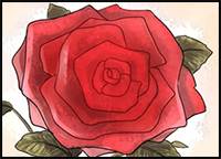 How to Draw a Rose