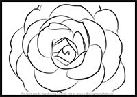 How to Draw a Camellia Flower