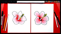 How To Draw A Hibiscus Flower