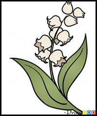 How to Draw Lily of Valley, Flowers