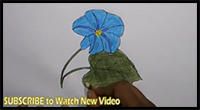 How to Draw a Morning Glory Flower