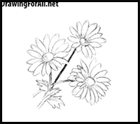 how to draw flowers