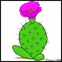 How to Draw Cactus, Flowers