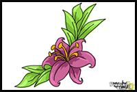 How to Draw a Beautiful Flower