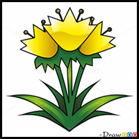 How to Draw Snowdrop, Flowers