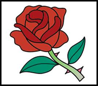 Rose Drawing Lesson and Advice