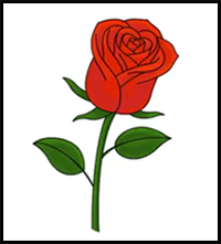 How to Draw a Rose