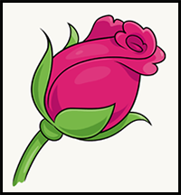 How to Draw a Rose Bud