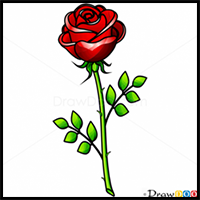 How to Draw Rose easy, Flowers