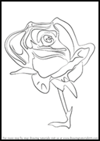How to Draw a Rose Flower
