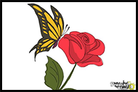 How to Draw a Butterfly On a Flower