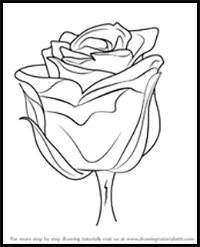 How to Draw a Rose with Stem