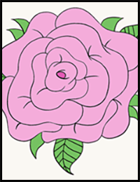 How to Draw a Rose Flower