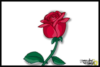 How to Draw a Rose Step by Step For Kids
