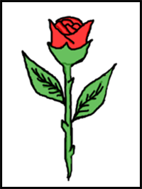 How to Draw a Rose