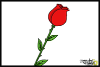 How to Draw a Rose For Kids